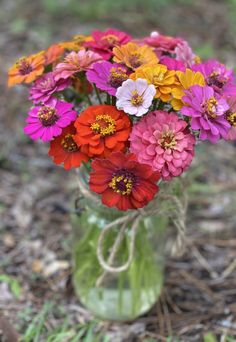 a vase filled with lots of colorful flowers