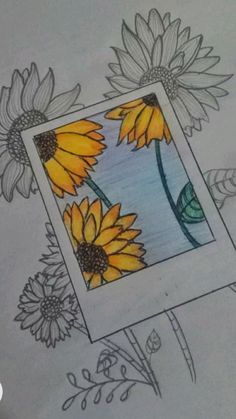 a drawing of sunflowers in a photo frame