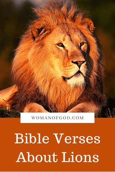 a lion laying down with the words bible verses about lions on it's chest