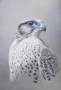 a drawing of a bird with blue eyes on it's head and wings, standing in front of a gray background