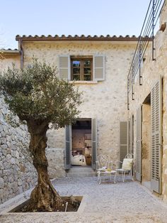 an olive tree in the courtyard of a house