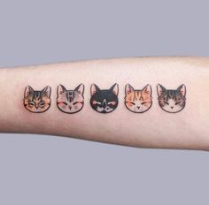 a person's arm with four cats on it