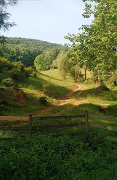 a dirt road in the middle of a lush green field