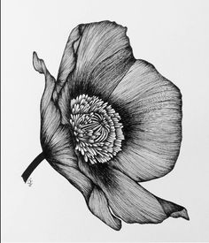 a black and white drawing of a flower