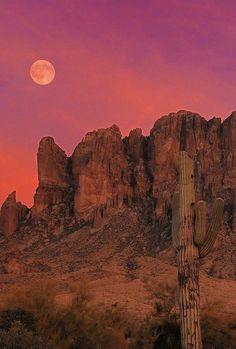 a large cactus in front of a mountain with a full moon behind it and pink sky