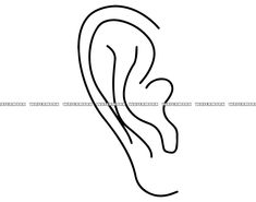 the outline of a pair of ear, with one line drawn to show it's inner