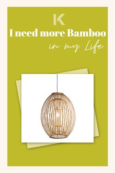 the cover of i need more bamboo in my life, with an image of a hanging lamp