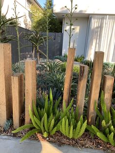 some wooden posts and plants in front of a house