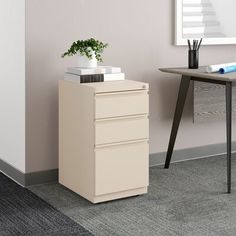 a desk with a file cabinet next to it and a plant on the top shelf