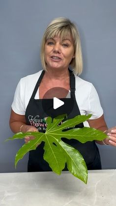 a woman in an apron is holding a green plant and talking about the benefits of houseplants