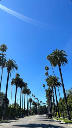 palm trees line the street in front of a car on a sunny day with blue sky