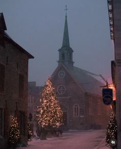 a christmas tree is lit up in front of a church on a snowy street at night