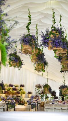 several hanging baskets filled with purple flowers and greenery in front of a white tent