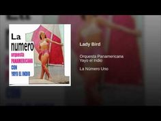 "Lady Bird"  - PANAMERICANA