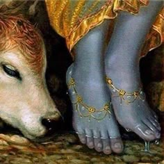 a close up of a person's feet next to a cow with painted legs