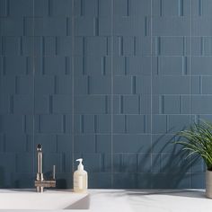 a white sink sitting next to a green plant on top of a bathroom counter under a blue tiled wall