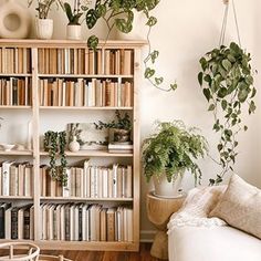 a living room filled with lots of books and plants on top of wooden shelving units