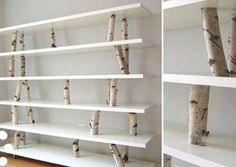 an empty room with several shelves filled with branches