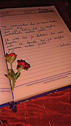 an open book with writing on it and a flower sticking out of the page in front