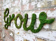 moss growing on the side of a brick wall that says grow up written in cursive letters