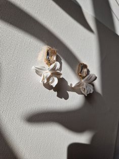 two white flowers are sitting on top of a piece of paper that has been cut in half