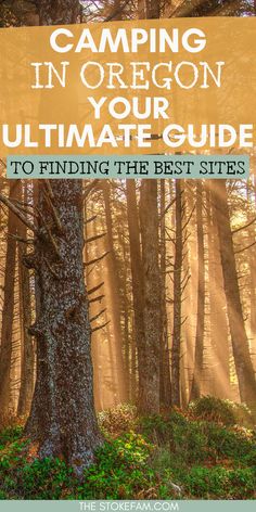 soft yellow light filters through trees in a lush forest with a text overlay that says "camping in oregon: your ultimate guide to finding the best sites" Pacific Northwest Camping, Lakeview Oregon, Pnw Camping, Pacific Northwest Beach, Pnw Adventures, Tillamook Oregon, Pnw Travel