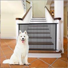 a white dog sitting in front of a stair gate