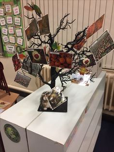 a white refrigerator freezer sitting next to a tree with pictures on it