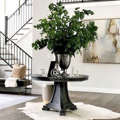 there is a plant in the center of this living room with white walls and wood floors