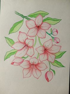 a drawing of pink flowers with green leaves and buds on a piece of white paper