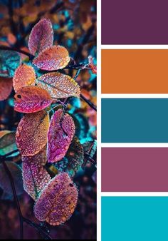 a color palette with different shades of purple, orange and green leaves on it's branches