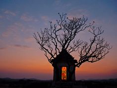 a tree with no leaves in front of a building at dusk or dawn, against the backdrop of an orange and blue sky