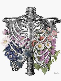 a drawing of a skeleton with flowers on it's chest and the ribcage