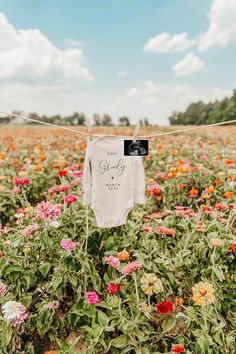 a field full of flowers with clothes hanging on a line in the middle of it