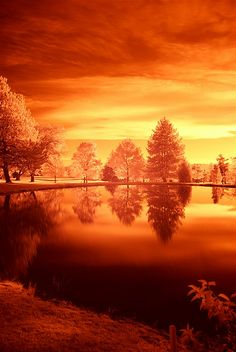 an orange sunset over a lake with trees in the foreground and clouds in the background