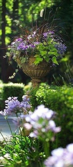 purple and white flowers are growing in a pot on the edge of a garden path