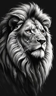 a black and white drawing of a lion