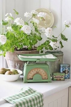 an old kitchen scale is sitting on the counter next to potted plants and fruit