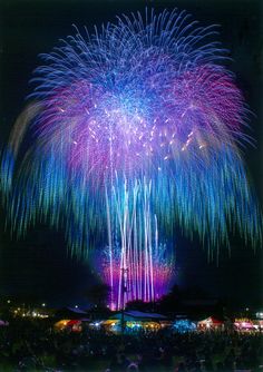 fireworks are lit up in the night sky above an amusement park with lots of people watching