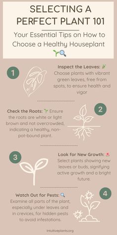 an info sheet describing how to select the best houseplant for your home or business