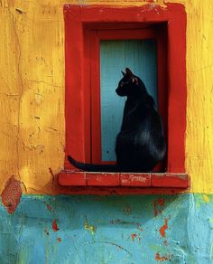 a black cat sitting in a red window sill on a yellow and blue wall