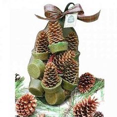 pine cones are piled up in a mesh bag and tied with a bow on the top