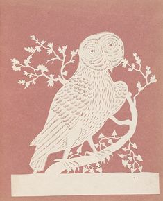 an owl sitting on top of a tree branch next to a leafy branch with leaves