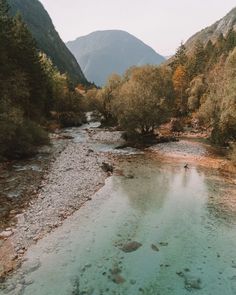 a river running through a forest filled with lots of trees next to a mountain range