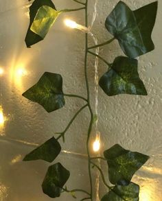 a green plant with lights hanging from it's stems