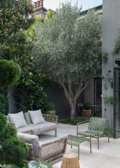 an outdoor living area with couches, chairs and a tree in the middle of it