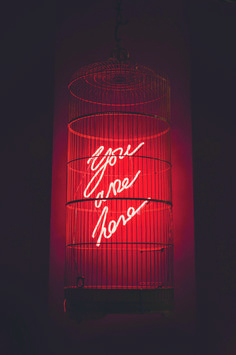 a neon sign that says you're not alone in a birdcage hanging from the ceiling