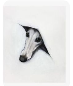 a drawing of a dog's head peeking out from behind a white sheet with black edges