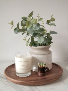 a candle and potted plant on a tray