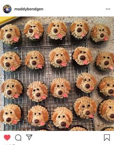 cupcakes made to look like dogs on a cooling rack